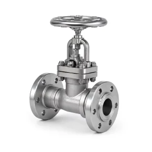 J41W 16R 316L Stainless Steel Globe Valve Medium Body CF3M PN16 Flange Valve Equivalent to ANSI Class 150 Valves