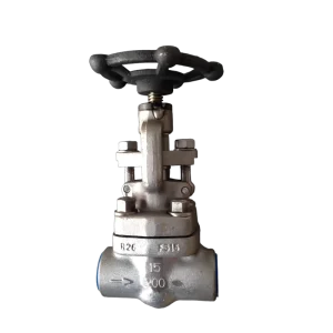 J61F Globe Valve F304 Made of Forged Steel Material Welded with Sleeve Threaded Joint NPT of High Quality