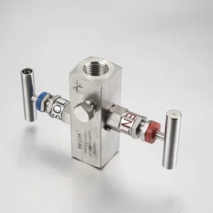 JAZZY Instrument Manifolds Instrument Valve Needle Valve Stainless Steel Ball Check Globe Valve