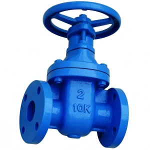 JIS 10K Exposed Stem Elastic Seated Gate Valve Gray Cast Iron Flanged Manual Gate Valve with Brass Seal for Water Treatment