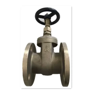 JIS Marine Bronze Gate Valve B2026