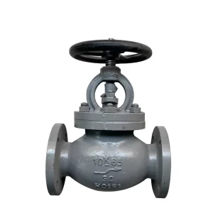 JIS Marine Cast Iron Globe Valve Flanged 5K 10K 16K (F7305 F7307)