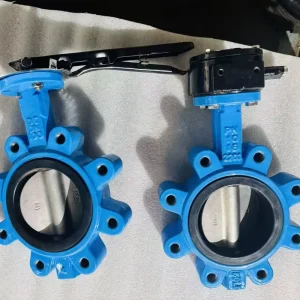 JRVAL D371X b5 DN100 Ductile Iron Butterfly Valve Rubber Lined EPDM Worm Gear Water Application for Plumbering