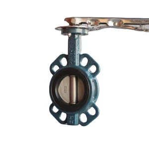 JRVAL OEM Asme Manual 2 3 4 6 8 Inch Fast Delivery EPDM PTFE SS304 SS316 Wafer Butterfly Valves D71X bd0 CE ISO9001 Certified