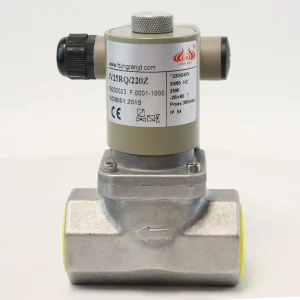JV25RQ220Z 220V 240V Thread Shutoff Solenoid Valve for LPG Gas DN25 Port Size Industrial Burners Application