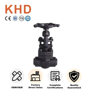 KHD Gate Structure Manual Valve General Application A105 DN32 Socket Weld Forged Steel Gate Valve