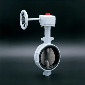 KITZ Butterfly Valve DN40 Water Other Media Normal Temperature Model G-20DJUE