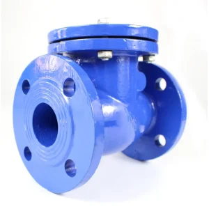 KXC BS DIN PN16 Duction Iron Body Flanged Swing Check Valve for Water Manual 43kg Customized Color