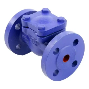 Lift Check Valve Body Material Cast Iron GG25 Closure Element Material Stainless Steel AISI 420