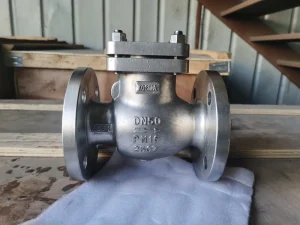 Lift Check Valve Cast Iron Check Valve Stainless Steel Check Valve