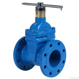 Lockable Soft Seal Gate Valve Flanged Ductile Iron Resilient Seated Valve for Water Supply DN50 DN300 PN16
