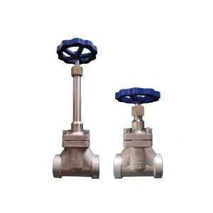 Long Stem Cryogenic Stop Valve 3 8 Socket Weld Cryogenic Globe Valve Bellow Seal Stainless Steel LNG LOX Valve Herose Price