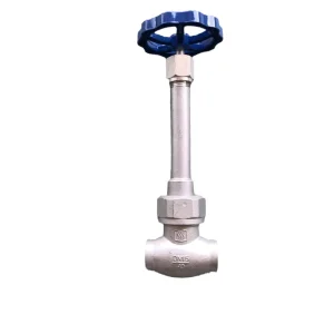 Low Temperature Forged Steel Globe Valve