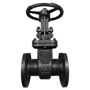 Low Temperature GOST 30s41nzh Carbon Steel Gate Valve Z41H 16C PN16 Flange End Manual Water Oil Gas Transport Pipeline DN50 300