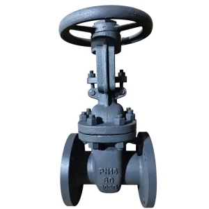 Low Temperature Steel 16Mn PN16 GOST Wedge Gate Valve Flange Ends ISO9001 Certified Q345 DN50 300 Manual Power Water 2Cr13 Seal