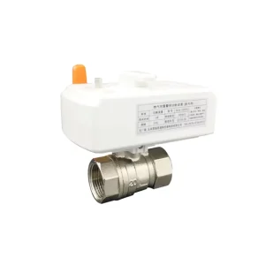 Low Torque 2 Way Brass Electric Motorized Ball Valve With Pneumatic/electric Actuator DC24V for Firefighting BJ51006