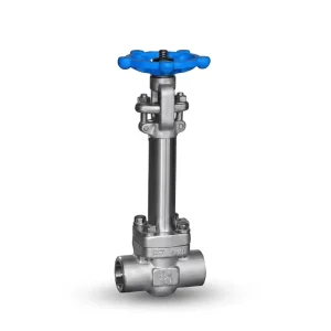Low temperature 1.6~10.0MPa DN15 DN300 Extended stem Manual Gate Valve Flange Welded Connection 316L Material