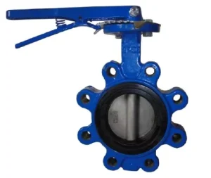 Lug Type Resislient Seat Butterfly Valve Cast Iron for Water