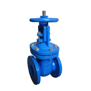 MARINE VALVE F4 Metal Seat Gate Valve RS