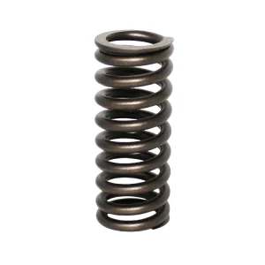 Machinery Equipment Diesel K38 K19 K50 Engine Parts Valve Spring 3629006