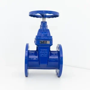 Made in China Ductile Iron Corrosion Resistant Soft Sealed Gate Valve