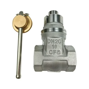 Magnetic Lockable Stainless Steel Gate Valves with Female Thread for Water Control DN15-50