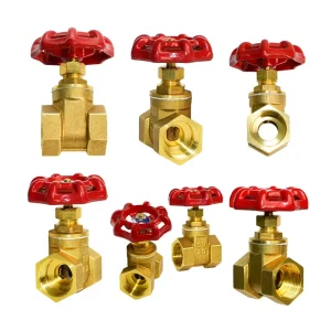 Manual 2 Inch Brass Hydraulic Water Gate Valve for Gas Water Oil