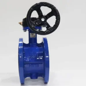 Manual 304/316 Stainless Steel Flange Worm Gear Butterfly Valves Model D341X-16Q for Water Oil Gas Engineering