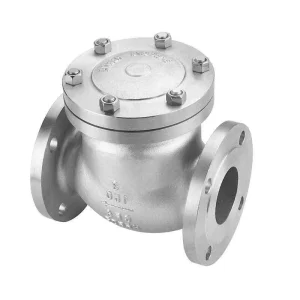 Manual 316 Stainless Steel Check Valve Water Spring Steam Control Check Valve Flange Swing Check Valve