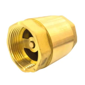 Manual Brass Body Check Valve with Steel Sealing for Water Media PN16 Threaded Connection and 3-Year Warranty Medium Temperature