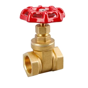 Manual Brass Threaded Forged Globe Valve Hard-Sealed 3/4 in Port Size