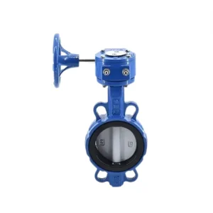 Manual Butterfly Valve with Aluminum Iron Handle Flanged Port EPDM Seat Custom Color