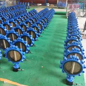 Manual Butterfly Valve with Lever Handle or Worm Gear Actuator Wafer Lug Dual Design for Water Air HVAC Industrial Use