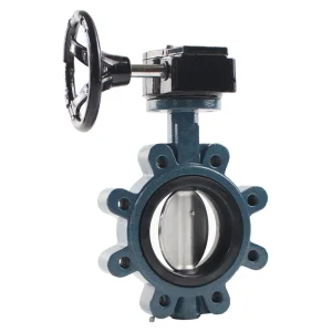 Manual Cast Iron Butterfly Valve EPDM Sealing Seat Ring DN80 Multi Media Applications Normal Temperature 18-Month Warranty