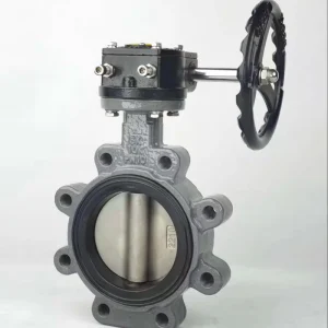 Manual Clamp Lug Stainless Steel Butterfly Valve D341X DN125 for Oil Gas Water Acid
