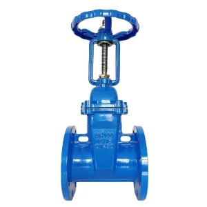 Manual DN50-DN500 Ductile Iron Z41X Rising Stem Soft Seal Gate Valve for Oil Gas Water