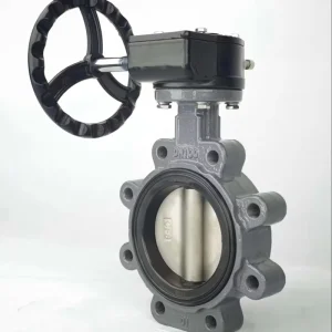 Manual DN50 DN600 2 Inch 5K 10K Ductile Iron Cast Handle Lug Diaphragm Butterfly Valve for Oil Gas Water