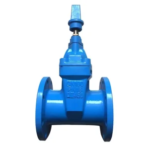 Manual Direct Buried Resilient Seated Gate Valve Underground Soft Seal NRS Gate Valve for Water Pipeline