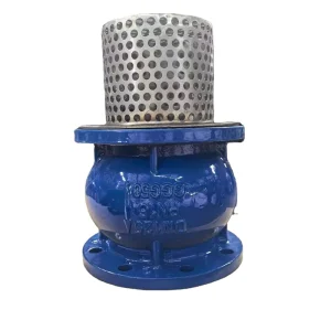 Manual Double Flange Foot Valve with SS304 Filter Mesh for Water