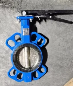 Manual Ductile Iron Butterfly Valve for Water Applications DN25 DN1200 Port Size