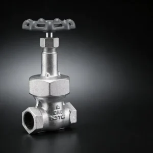Manual Ductile Iron Gate Valve Threaded Ends DN15/DN20 16SMB JIS16K for Water Oil Gas Shutoff Applications