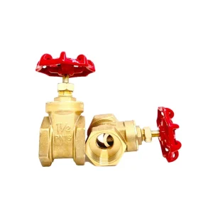 Manual Ductile Iron Gate Valves with Customized Color 3 Year Warranty for Water 1/2in Port Size United States