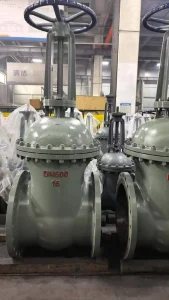 Manual Flanged Gate Valve PN16 Cast CS SS Industrial Gate Valve