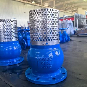 Manual Foot Valve Cast Iron Bottom Valve with Stainless Steel Filter Flange End DN200 DIN BS ANSI Water Quality Standard