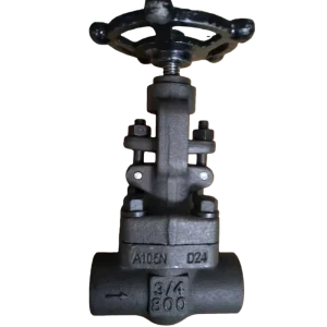 Manual Forged Carbon Steel 800# A105 Globe Valve 3 4 Port Size Socket Weld Ends B3 VALVE 1 Year Warranty Petrochemical Liquid