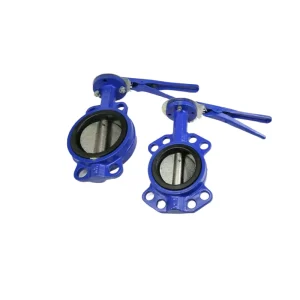 Manual Gear Operated Lug Type Butterfly Valve for Fire Protection OEM Customized Water Pipeline Control Valve