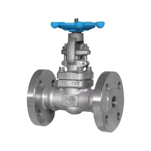 Manual Gear for Large Bore Water AISI 304 316 304L 316L PN40 PN50 PN100 Stainless Steel Gate Valve