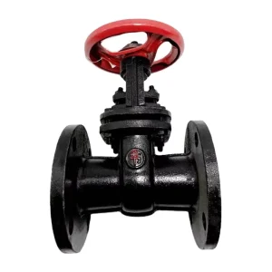 Manual Grey Iron Flange End GOST Structure Length HT200 HT250 Gate Valve Z44T 10 PN10 16 DN50 DN300 Water Oil Base