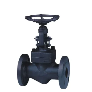 Manual High Pressure Flange Type A105n Forged Gate Valve for Water CE Certified