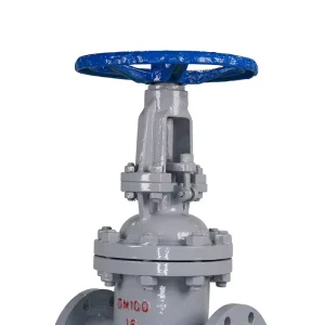 Manual High Temperature 3 Inch 2 Inch PN16 DN100 China Factory Customize Gate Valve